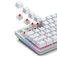 Glorious Fox Heavy Switches, mechanisch, 5-Pin, linear, MX-Stem, 55g - lubed, 110 Stück