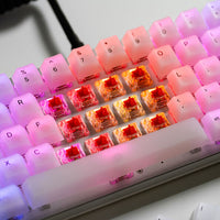 Glorious Fox Heavy Switches, mechanisch, 5-Pin, linear, MX-Stem, 55g - lubed, 110 Stück
