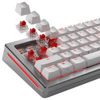 Glorious Fox HE Standard Switches, Hall-Effekt, linear, MX-Stem, 45g - lubed, 36 Stück