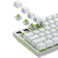 Glorious Raptor Standard Switch, mechanisch, 5-Pin, clicky, MX-Stem, 55g - lubed, 36 Stück