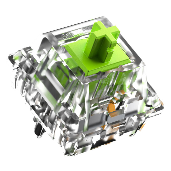 Glorious Raptor Standard Switch, mechanisch, 5-Pin, clicky, MX-Stem, 55g - lubed, 36 Stück