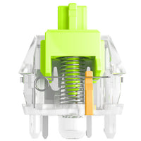 Glorious Raptor Standard Switch, mechanisch, 5-Pin, clicky, MX-Stem, 55g - lubed, 36 Stück