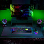 Razer BlackWidow V4 Gaming Tastatur, USB - Yellow Switch, schwarz