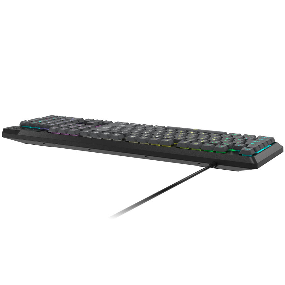 Corsair Gaming K55 Core RGB Gaming Tastatur, Full-Size (100%), Rubber Dome – grau, ISO (DE)