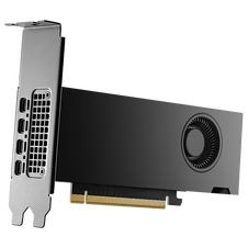 RTX 2000 16GB VGA Nvidia Quadro Ada 16GB Retail