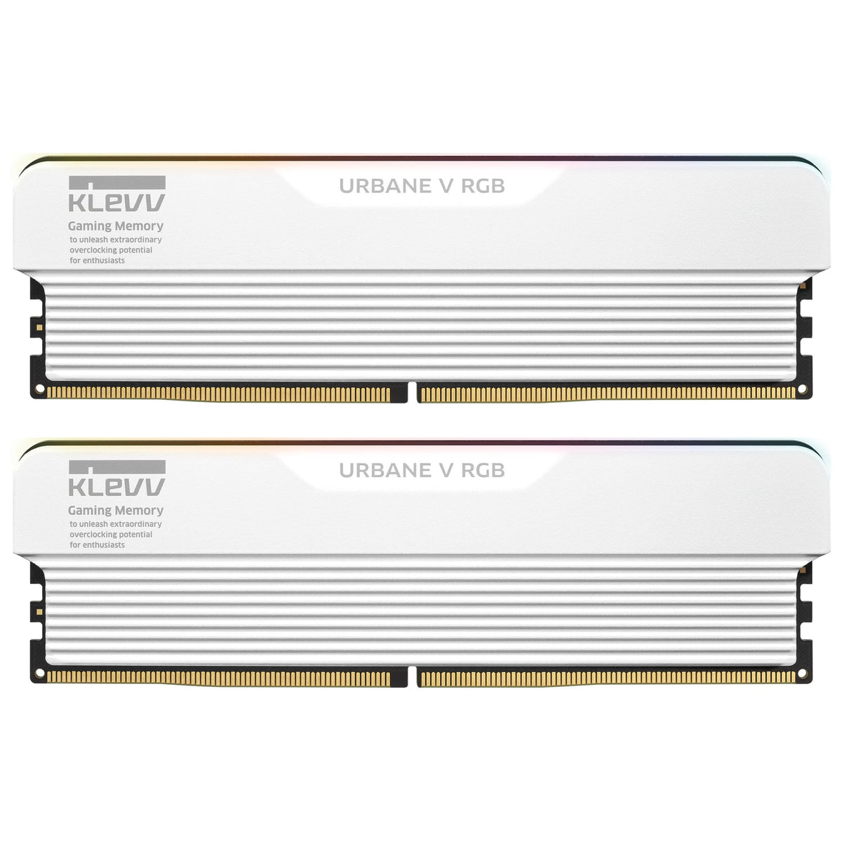 Klevv Urbane V RGB White DDR5-6000 CL30 32GB (2x16GB)