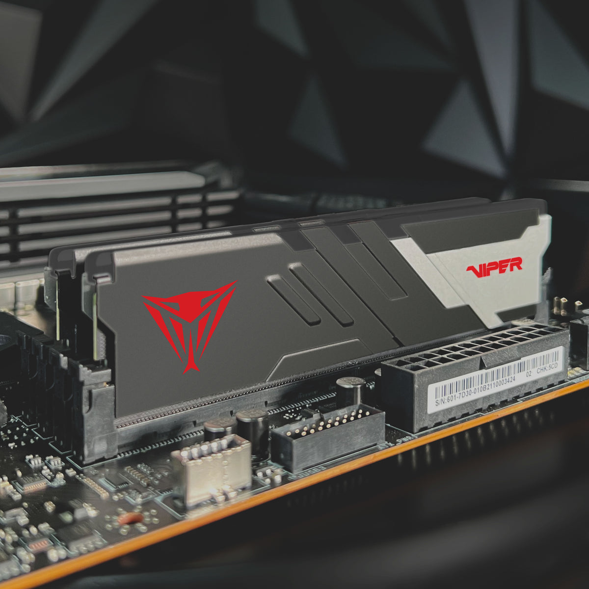 Patriot Viper Venom Black / White DDR5-5600 CL36 32GB (2x16GB)