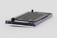 Worklouder Nomad [E] Atomic Purple