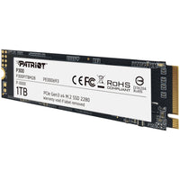 Patriot P300 1TB
