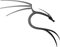 Linux Kali + Treiber Installation