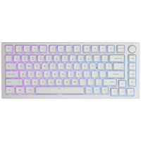 Glorious GMMK Pro White Ice 75% TKL Tastatur - Barebone, ANSI-Layout, silber