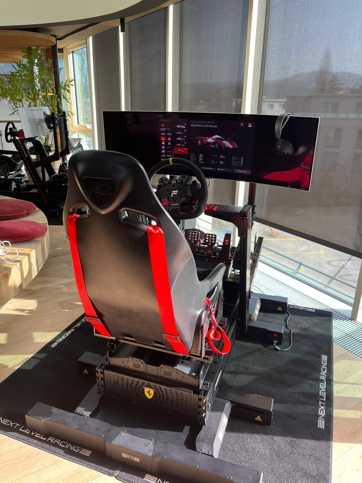 Racing-Sim