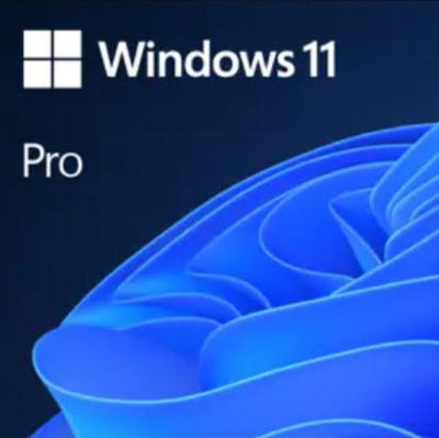 Windows 11 Pro + Treiber Installation