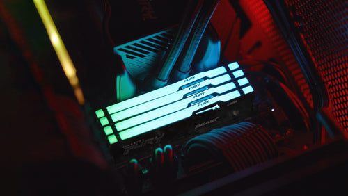 Kingston RAM FURY Beast RGB - 8 GB - DDR5 5600 DIMM CL36