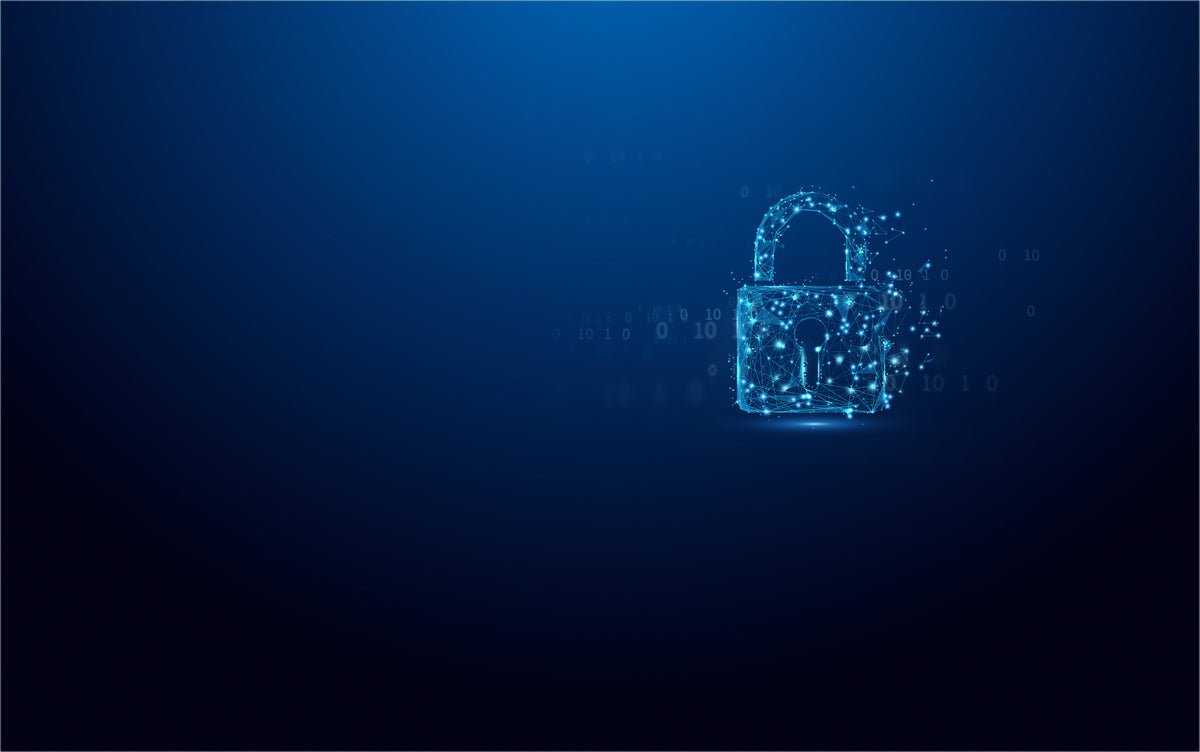 Kingston Technology IronKey 512GB Vault Privacy 50 AES-256 verschlüsselter, FIPS 197