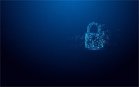 Kingston Technology IronKey 256GB Vault Privacy 50 AES-256 verschlüsselter, FIPS 197