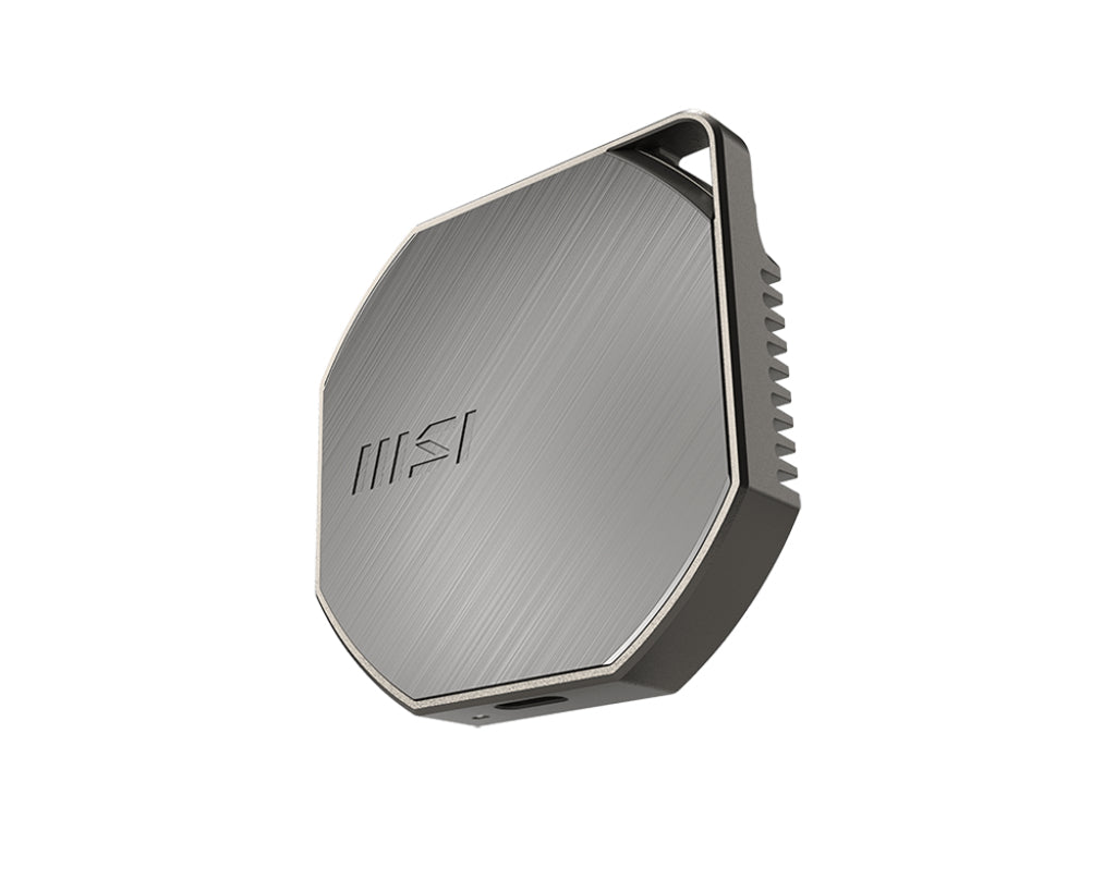MSI DATAMAG 40GBPS 1TB Externes Solid State Drive USB Typ-C USB 3.2 Gen 2x2 Silber