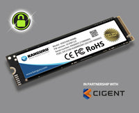 iStorage Kanguru DEFENDER SED300 500 GB M.2 PCI Express 3.0 NVMe 3D TLC