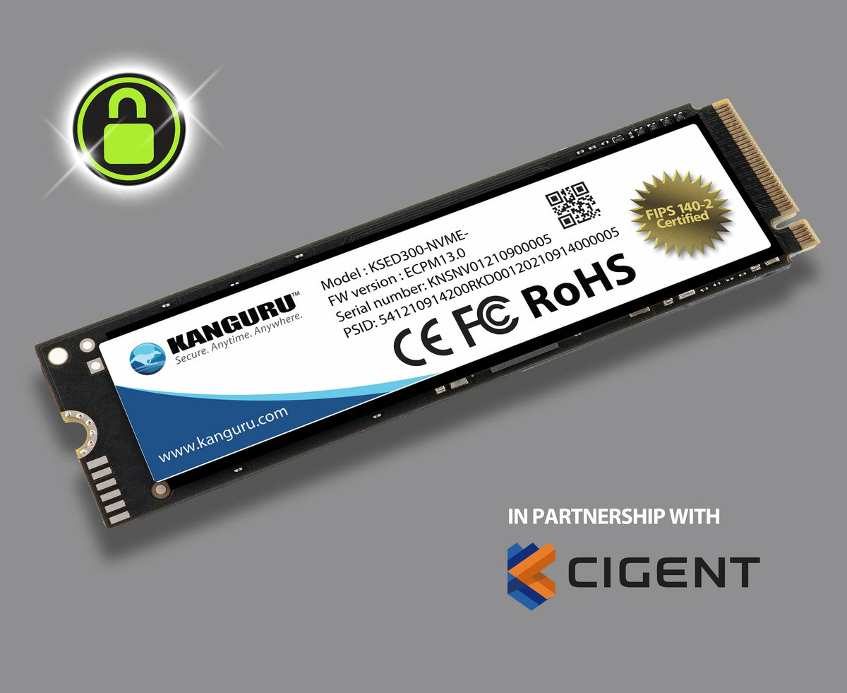 iStorage Kanguru DEFENDER SED300 2 TB M.2 PCI Express 3.0 NVMe 3D TLC