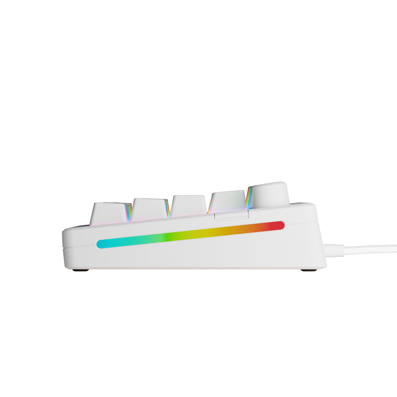 Glorious Gaming GMMK 3 65% Prebuilt Tastatur USB QWERTY US Englisch Weiß