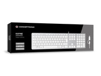 Conceptronic KAYNE02WIT USB Slim-Tastatur, QWERTY Italienisch, kompatibel mit Windows und macOS