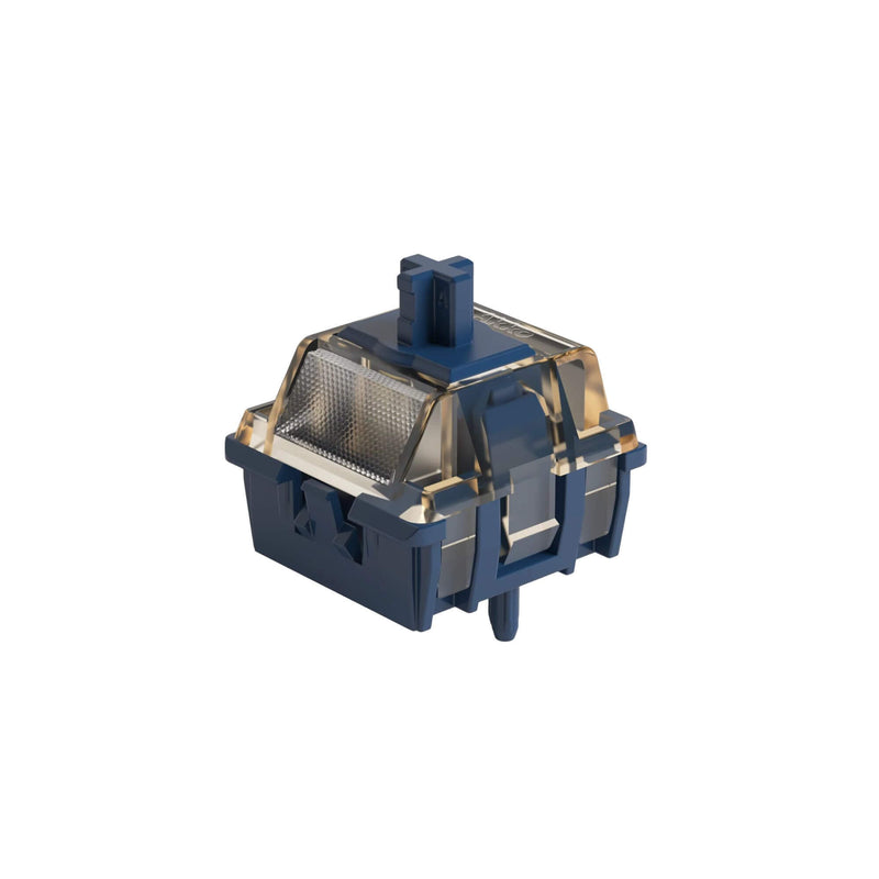 Astrolink Magnetic Switches