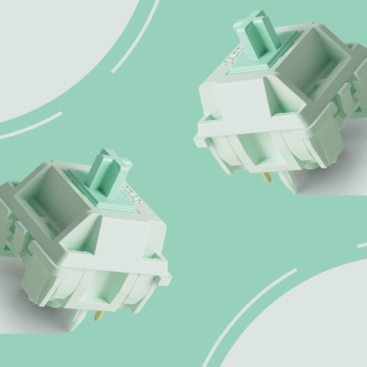 Botany Switches