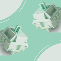 Botany Switches