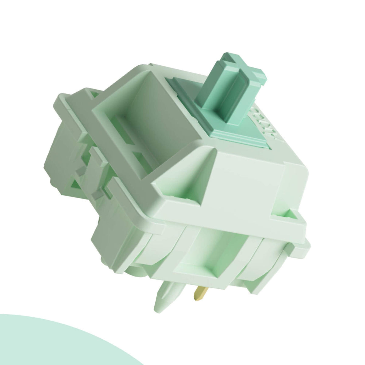 Botany Switches