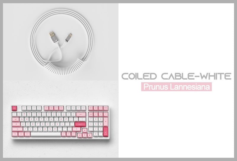 Coiled Aviator Cable