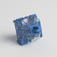CS Switch (45 Stück)