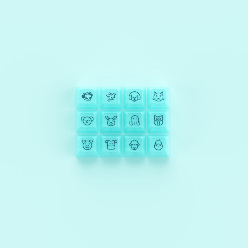 ASA Clear Printed Keycap