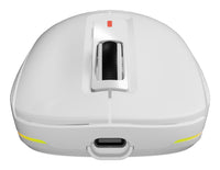 GENESIS NMG-2194 Maus Gaming Beidhändig Bluetooth + USB Type-C Optisch 26000 DPI