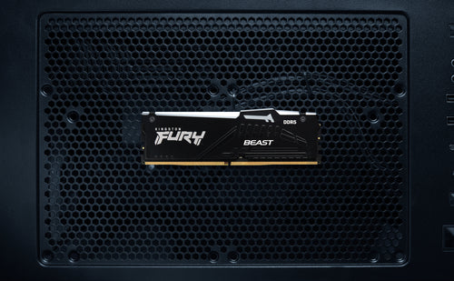 Kingston RAM FURY Beast RGB - 8 GB - DDR5 5600 DIMM CL36