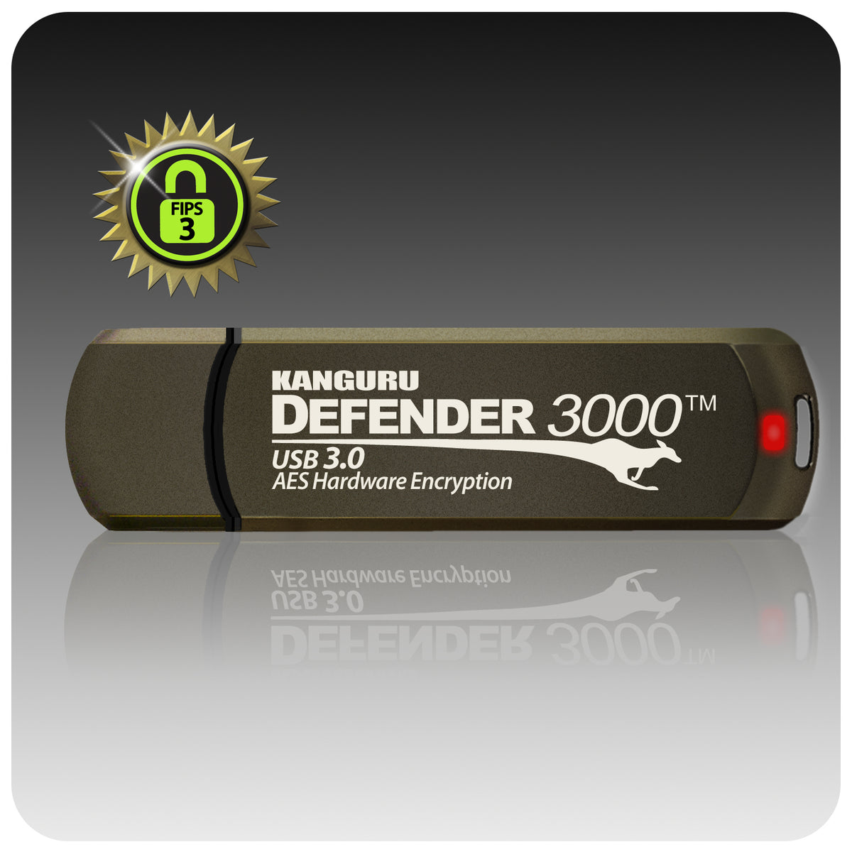 iStorage Kanguru Defender 3000 USB-Stick 512 GB USB Typ-A 3.2 Gen 1 (3.1 Gen 1) Bronze