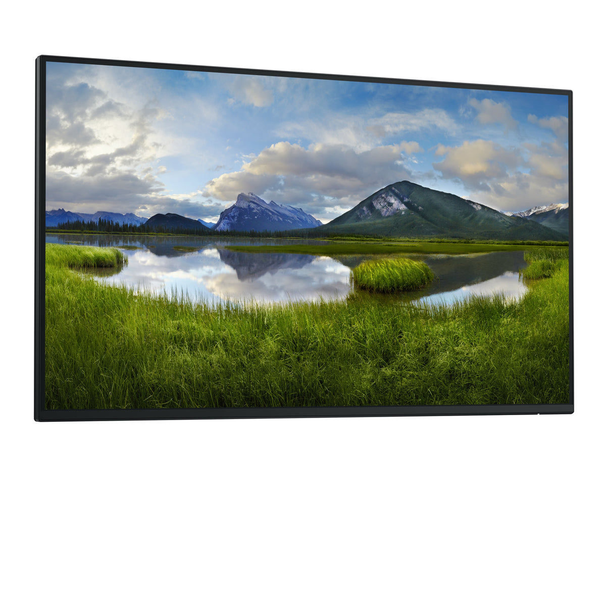 DELL Pro Plus P2725H_WOST Computerbildschirm 68,6 cm (27") 1920 x 1080 Pixel Full HD LCD Schwarz
