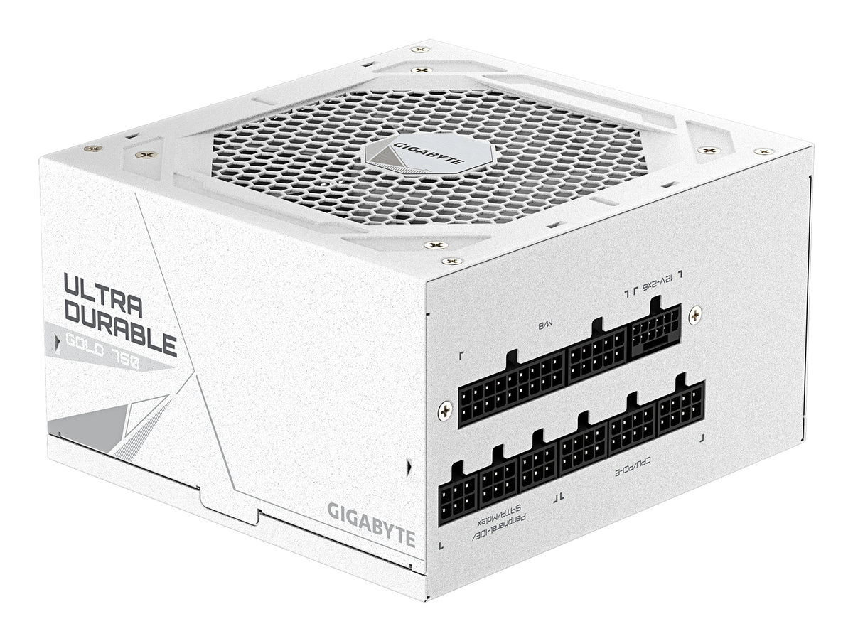 GIGABYTE UD750GM PG5 V2 ICE Netzteil – PCIe Gen 5.1, 80 PLUS Gold, Vollmodulares Design, 120-mm-Lüfter, ATX 3.1-kompatibel, EU-Stecker