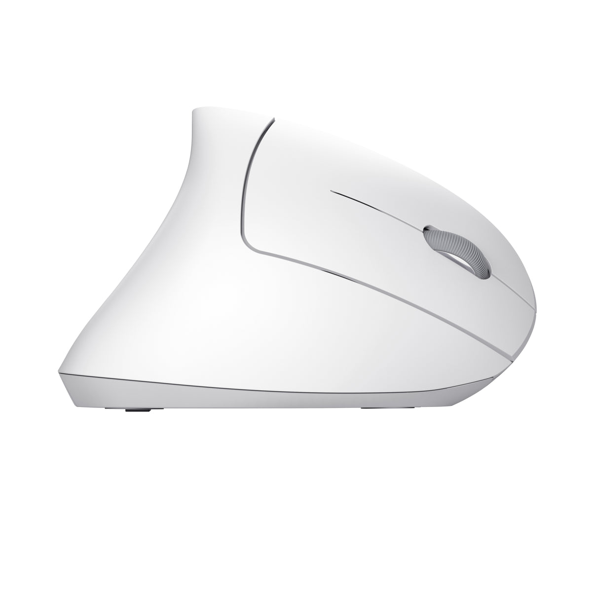 Trust Verto Maus Büro rechts RF Wireless Optisch 1600 DPI