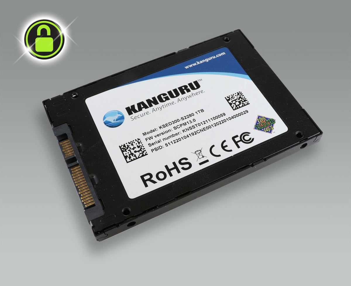 iStorage Kanguru SED300 1 TB 2.5" SATA 3D TLC