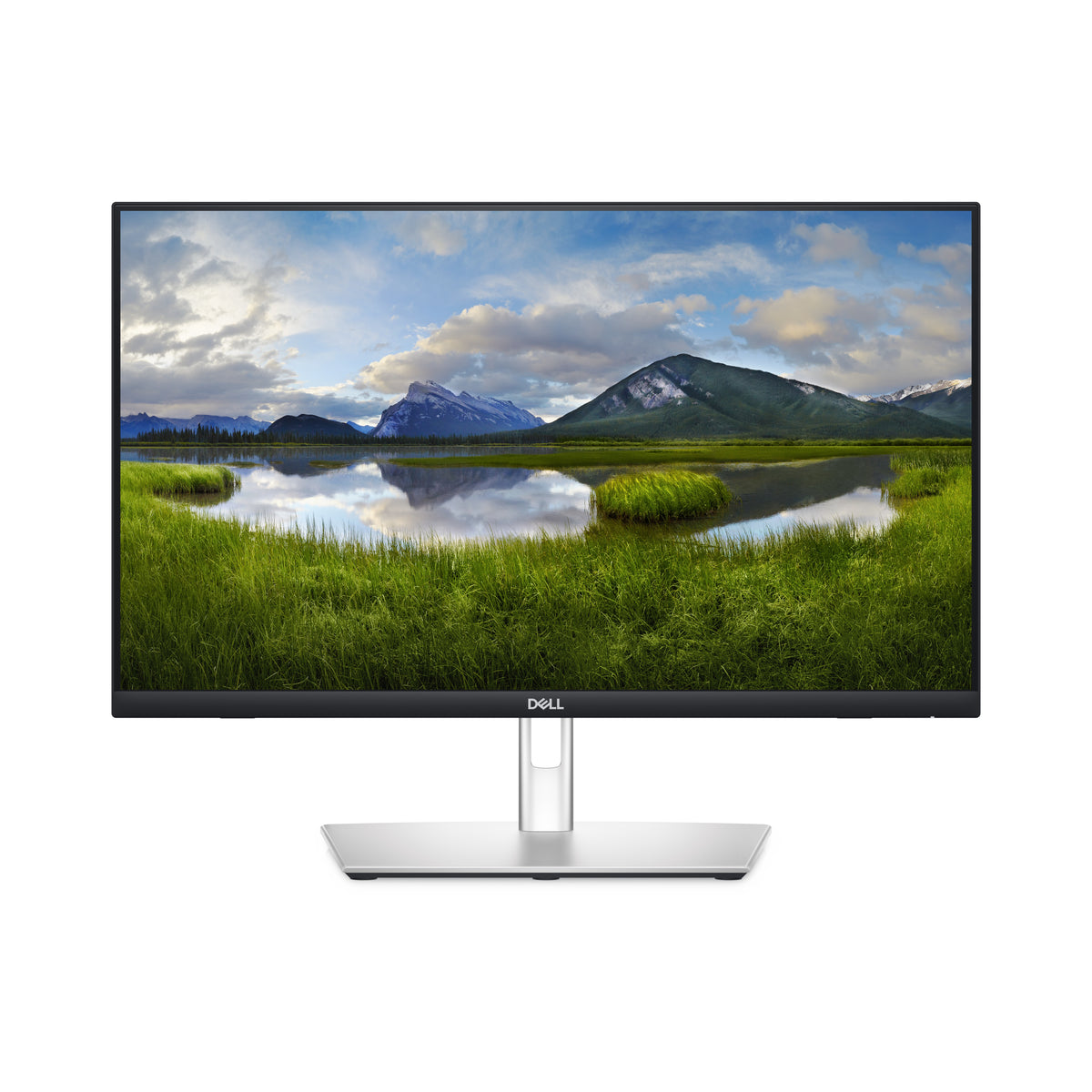 DELL P Series P2424HT Computerbildschirm 60,5 cm (23.8") 1920 x 1080 Pixel Full HD LCD Touchscreen Schwarz, Silber