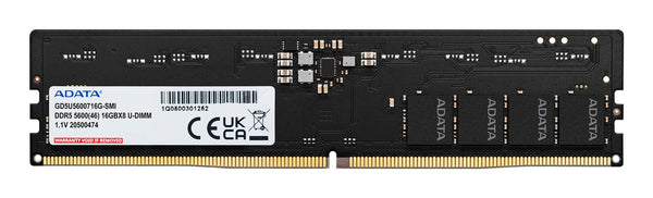 Modulo di memoria ADATA Gold 32 GB 1 x 32 GB DDR5 5600 MT/s 288-pin DIMM