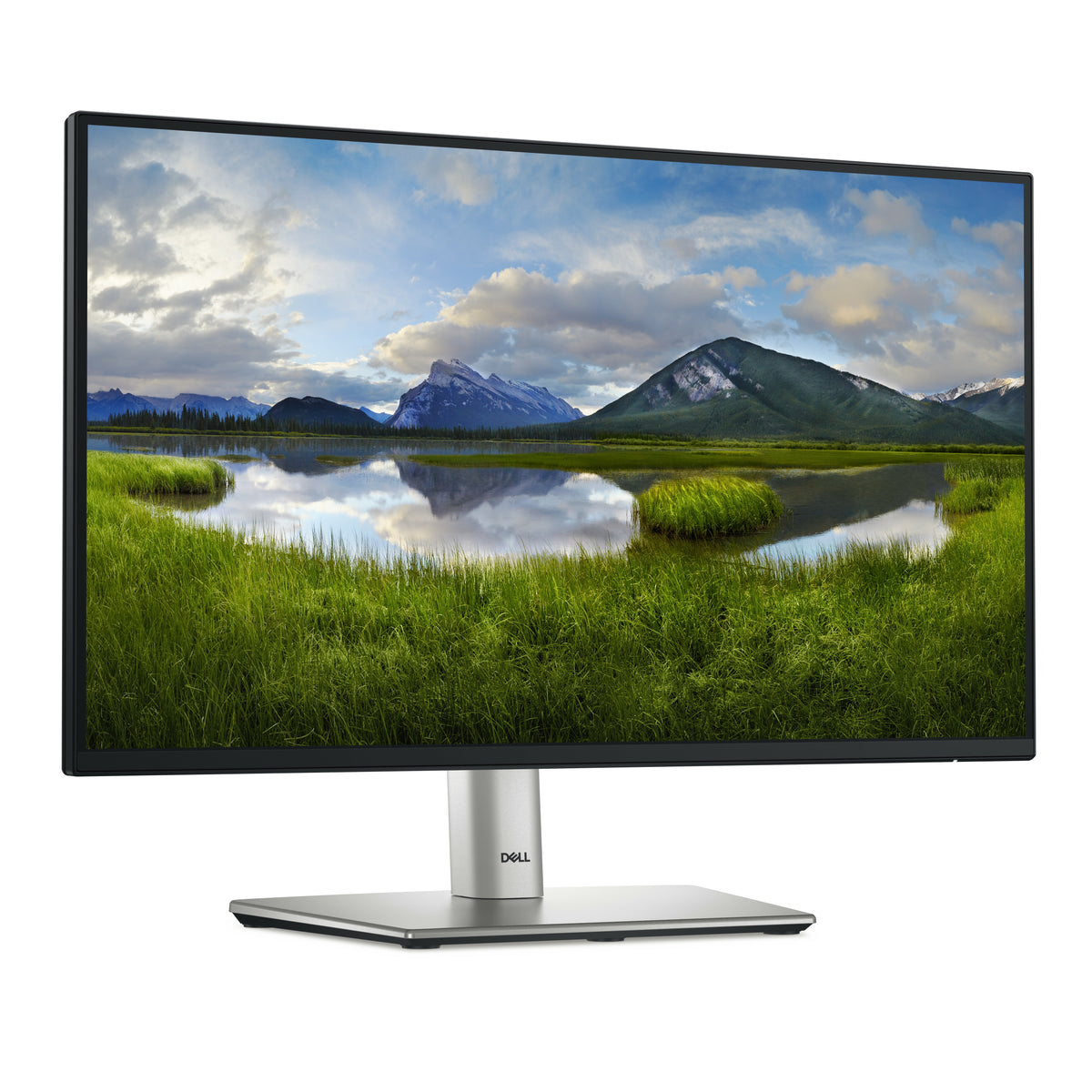 DELL P Series P2225H Computerbildschirm 54,6 cm (21.5") 1920 x 1080 Pixel Full HD LCD Schwarz, Silber