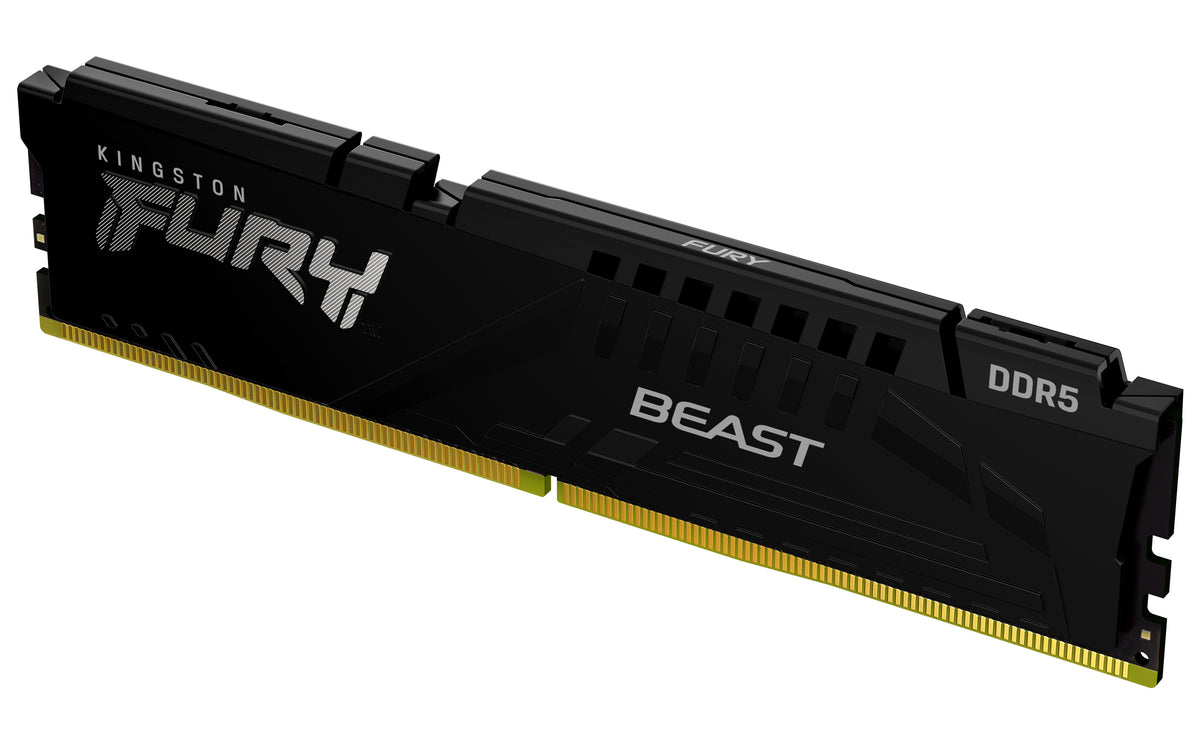 Kingston Technology FURY Beast 16 GB 6800 MT/s DDR5 CL34 DIMM Black EXPO