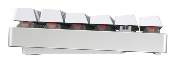 CHERRY MX 8.2 TKL Wireless RGB Tastatur Gaming USB + RF Wireless + Bluetooth QWERTZ Deutsch Weiß