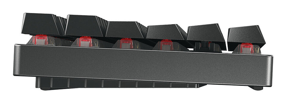 CHERRY MX 8.2 TKL Wireless RGB Tastatur Gaming USB + RF Wireless + Bluetooth QWERTZ Deutsch Schwarz