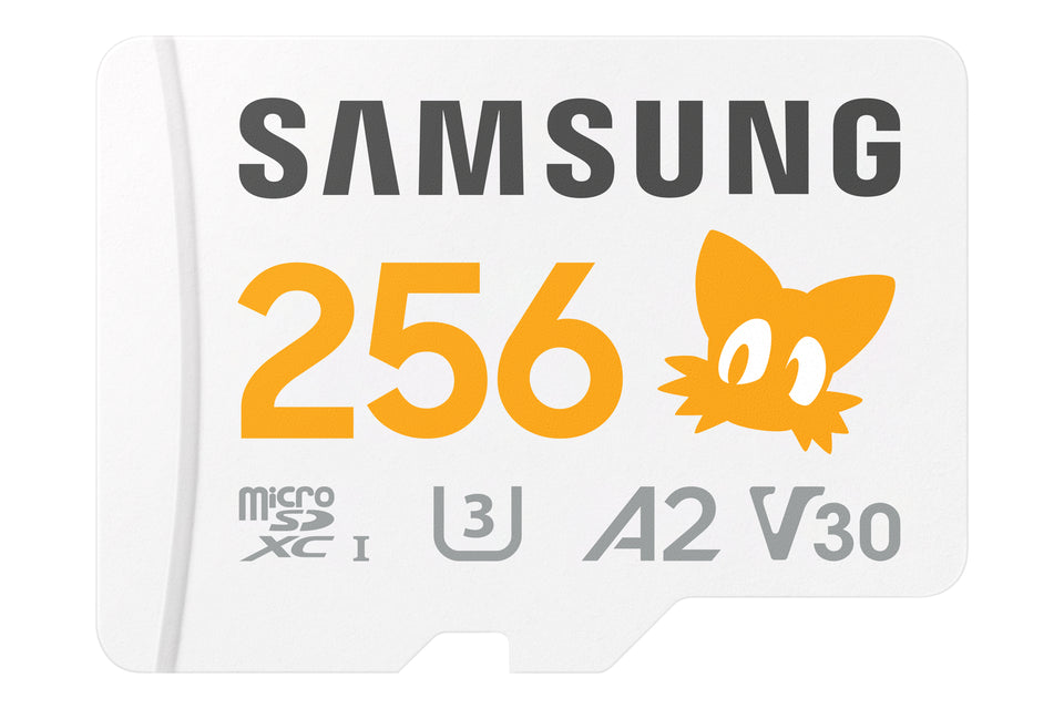 Samsung MB-MD256S 256 Go MicroSDXC UHS-I Classe 10