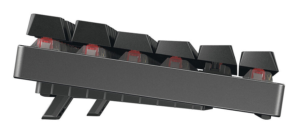 CHERRY MX 8.2 TKL Wireless RGB Tastatur Gaming USB + RF Wireless + Bluetooth QWERTZ Deutsch Schwarz