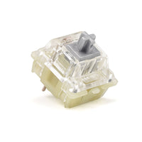 Cherry MX Switch RGB (110 Stück)