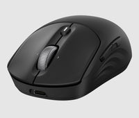 HP 700 Wiederaufladbare Wireless-Maus