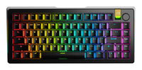 Glorious Gaming GMMK 3 PRO HE 75% Prebuilt Tastatur RF Wireless + Bluetooth QWERTY US Englisch Schwarz
